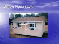 photo5_small.jpg