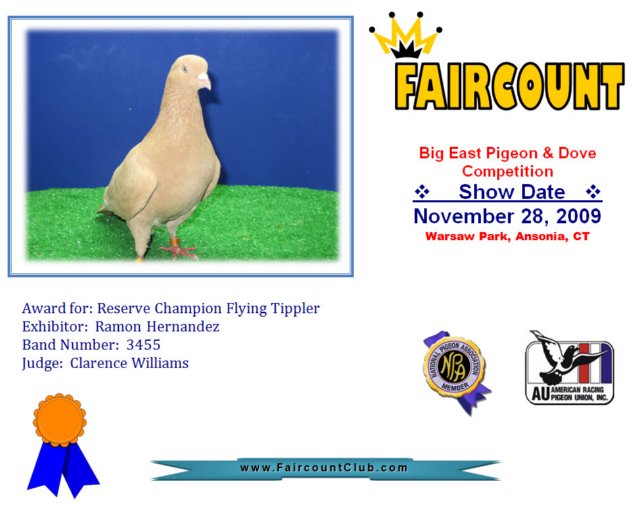 reservechampionflyingtippler.jpg