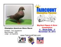 championamericanshowracer_small.jpg