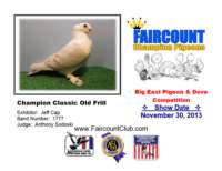 championclassicoldfrill_small.jpg