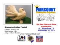 championindianfantail_small.jpg