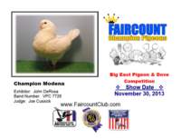 championmodena_small.jpg