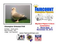championorientalfrill_small.jpg