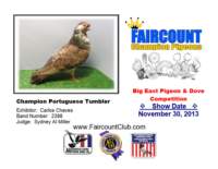 championportuguesetumbler_small.jpg