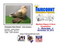 championrarebreedfairyswallow_small.jpg