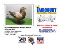 reservechampionracinghomerbestoldhen_small.jpg