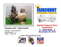 championaovindianfantail_small.jpg