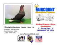 championcataloniantumblerwhitetail_small.jpg