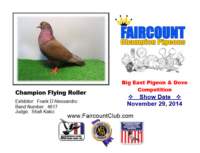 championflyingroller_small.jpg