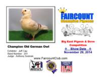 championoldgermanowl_small.jpg
