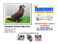 championserbianhighflyer_small.jpg
